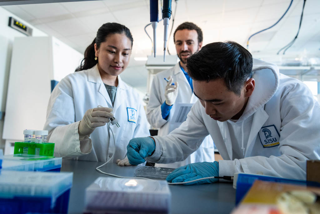 Students in lab